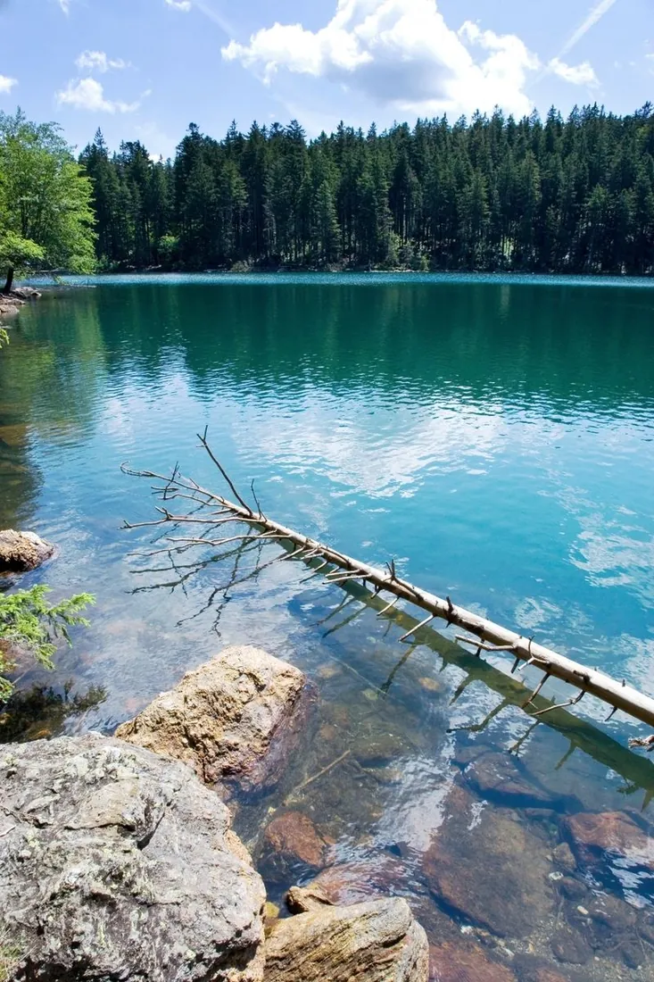 Jezero v lese, příklad místa z Blindtripu